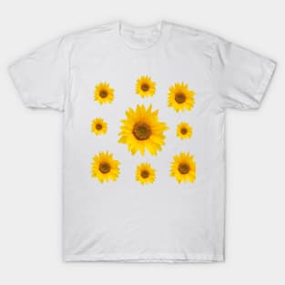 Sunflowers Bloom -  Hello Summer T-Shirt